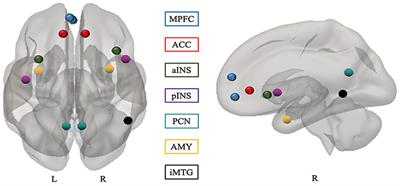 Effects of Childhood Maltreatment on Social Cognition and Brain Functional Connectivity in Borderline Personality Disorder Patients